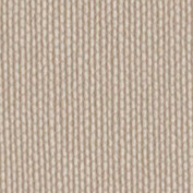    Vyva Fabrics > Sandstone SG90002