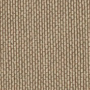    Vyva Fabrics > Taupe SG90009