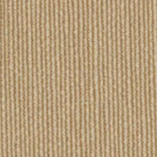    Vyva Fabrics > Beige SG91010