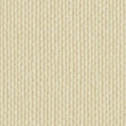    Vyva Fabrics > Sisal SG91051