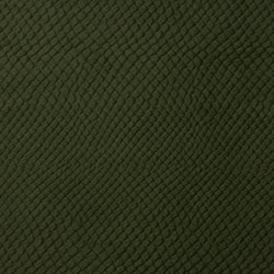   Vyva Fabrics > 3466 Moss