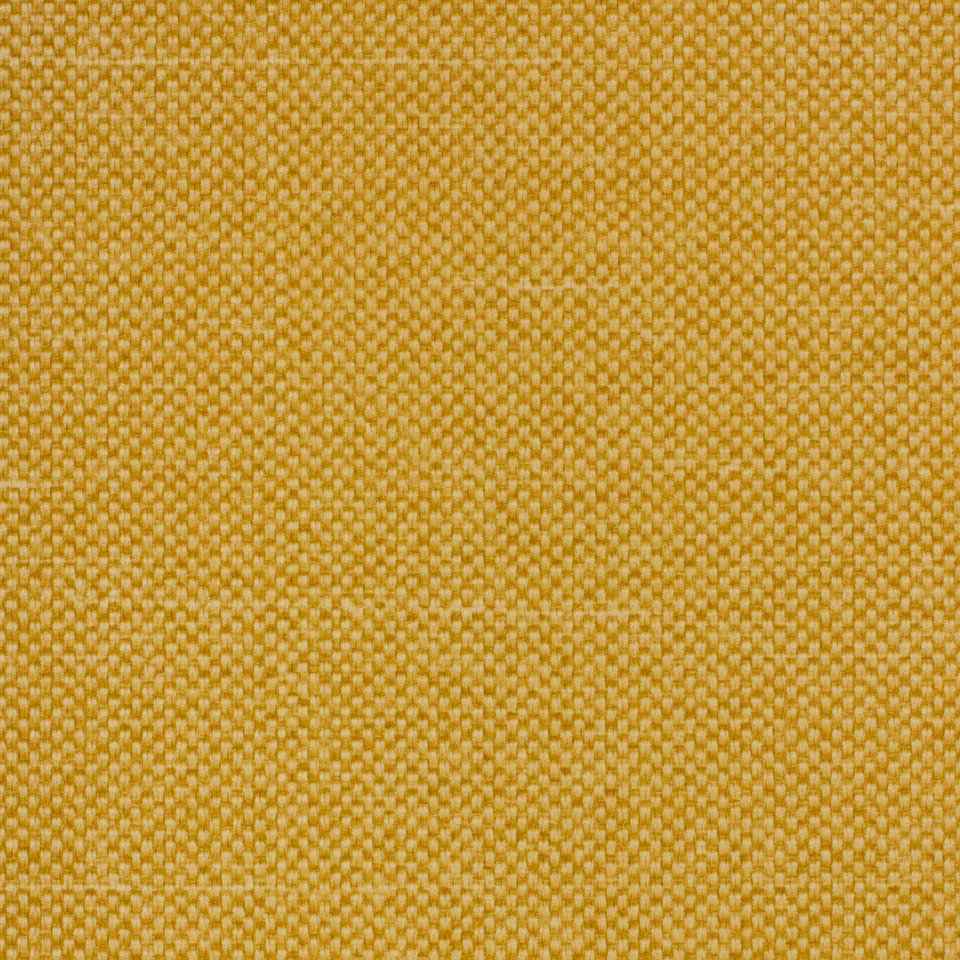    Vyva Fabrics > 16029 Hive